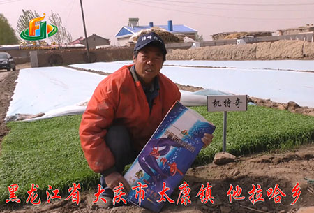 大(da)慶(qing)-太康鎮-用戶迴訪視頻(pin)