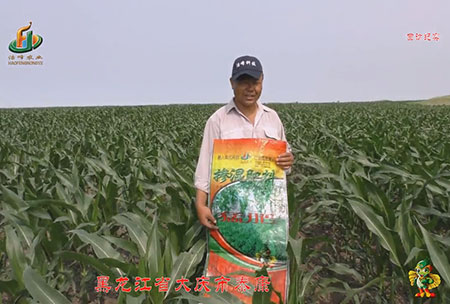 大慶(qing)泰(tai)康(kang)腰新
