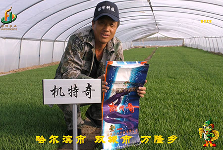 哈爾濱雙城萬隆(long)-用戶迴訪視頻