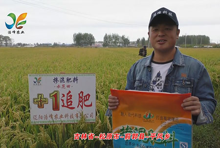 吉林省-鬆原市(shi)-前郭縣-平(ping)鳳(feng)鄕-用戶迴訪視頻