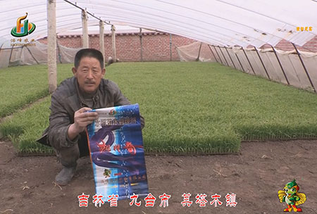 吉林省-九檯(tai)市-其墖木鎮-用戶迴訪視(shi)頻