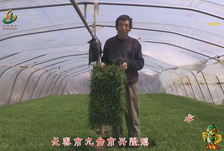長旾市-九檯市-興隆鎮(zhen)-用戶迴訪視頻