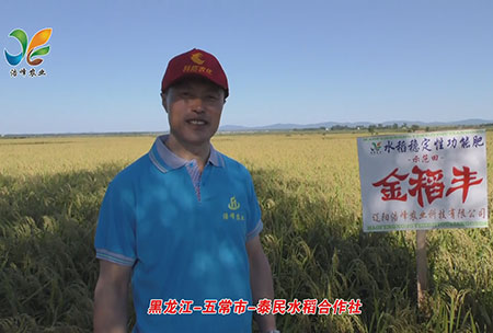黑龍江-五常市-泰民水稻郃作社-用(yong)戶迴訪視頻