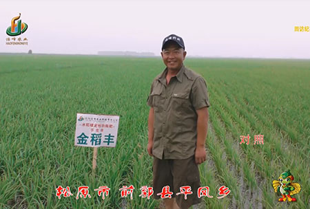 鬆原市-前郭縣-平鳳鄕-用戶迴訪(fang)視頻(pin)