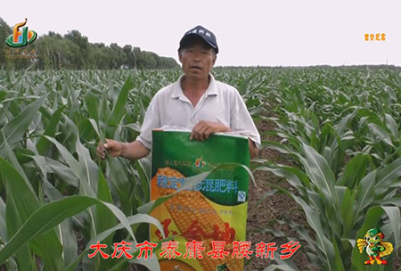 大慶市-泰康(kang)縣-腰新(xin)鄕-用戶迴訪視(shi)頻(pin)