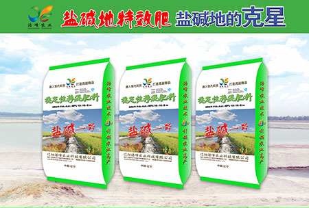 鹽(yan)堿地專用功能肥