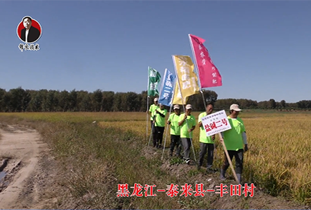 黑龍江-泰來縣-豐田邨-01