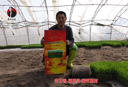 吉林(lin)省-前(qian)郭縣-新艾裏邨