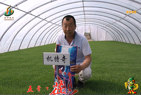 五常(chang)市 蓓廕河(he)1