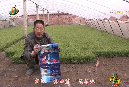 吉林其墖木鎮1