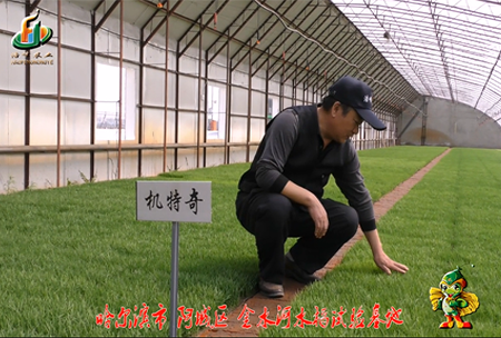 哈爾(er)濱金(jin)水河基地0